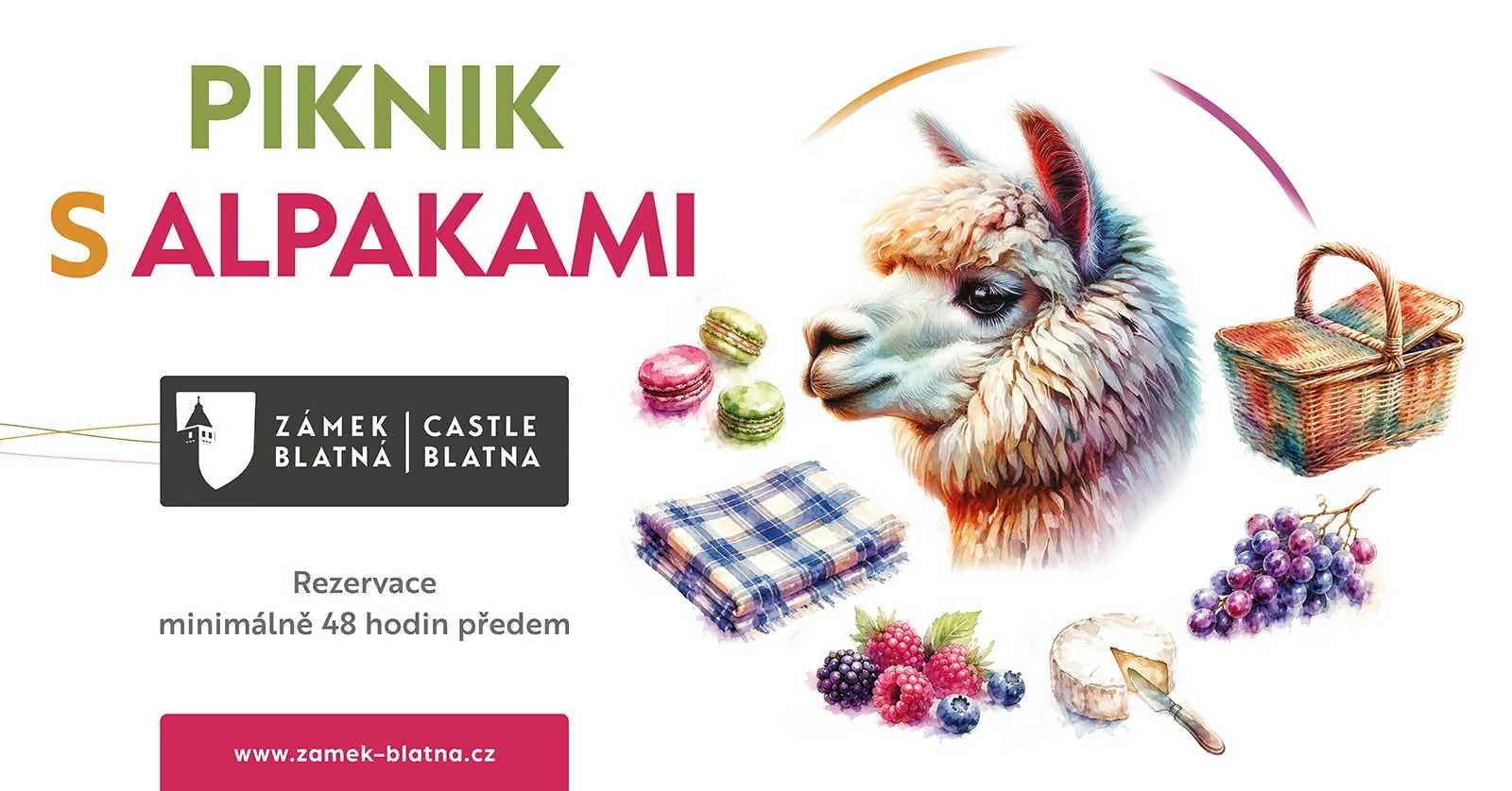 Alpaca Picnics