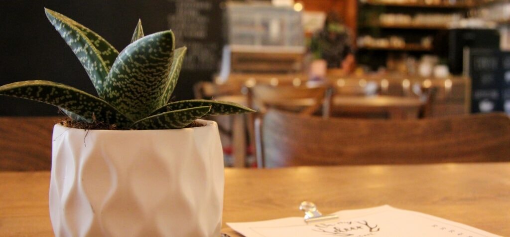 OH MY DEER CAFÉ