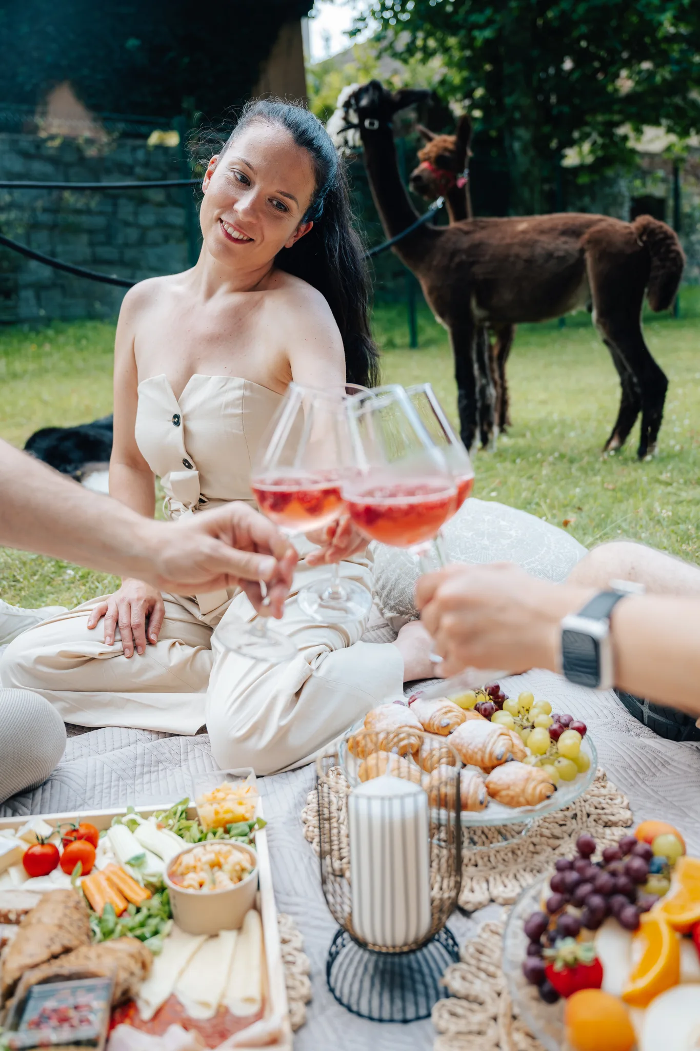 Wedding picnic with alpacas in the castle park