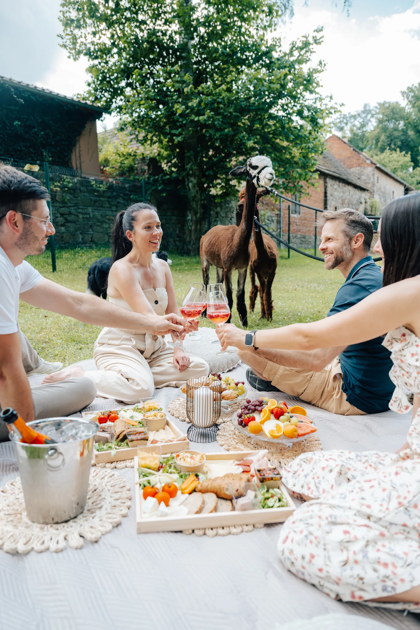 Wedding picnic with alpacas in the castle park