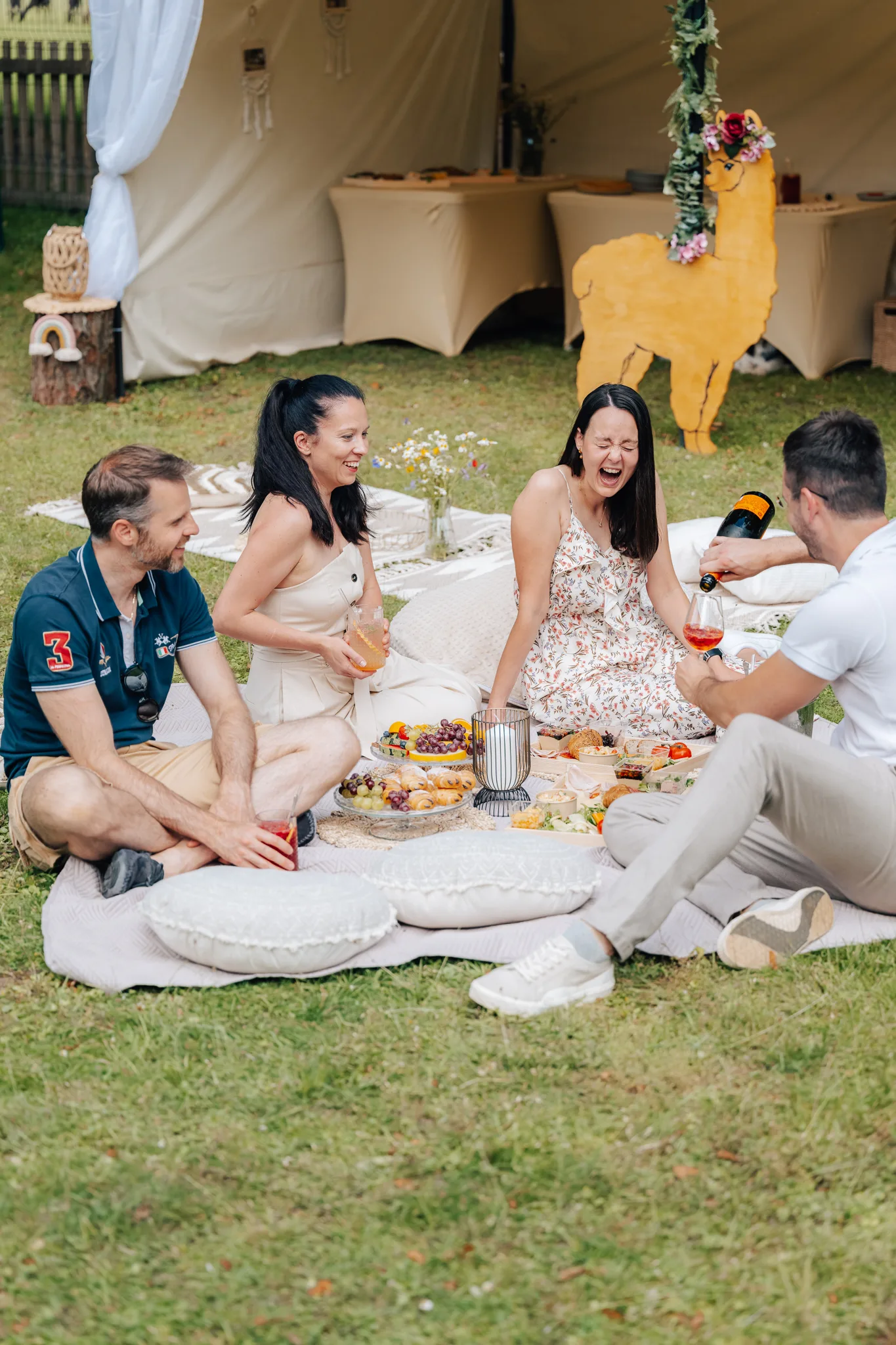 Wedding picnic with alpacas in the castle park