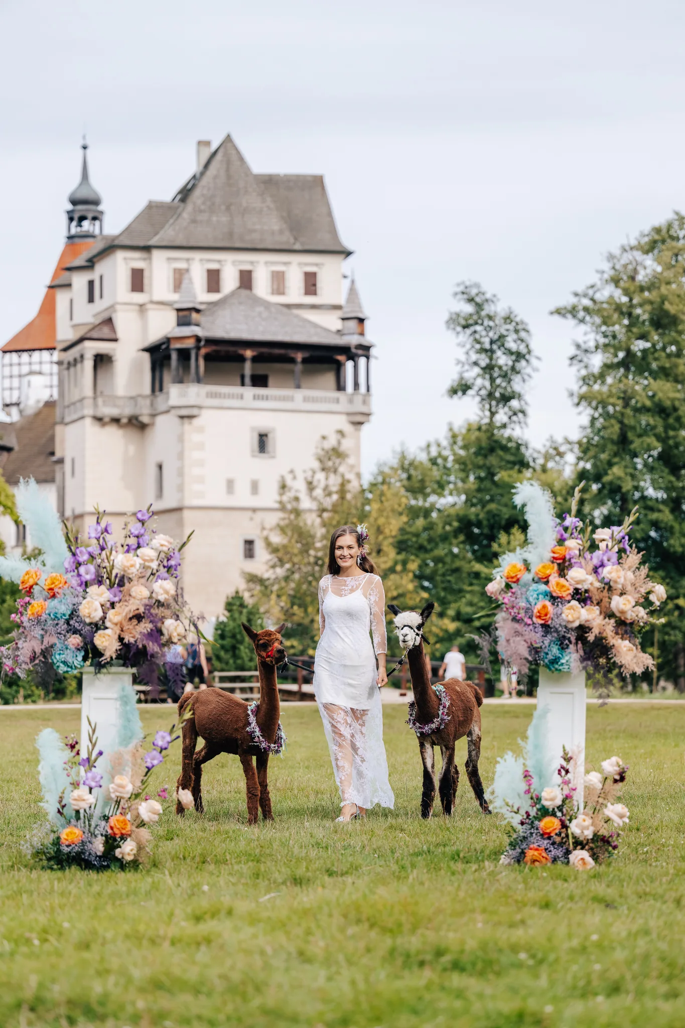 Bride with alpacas in the castle park