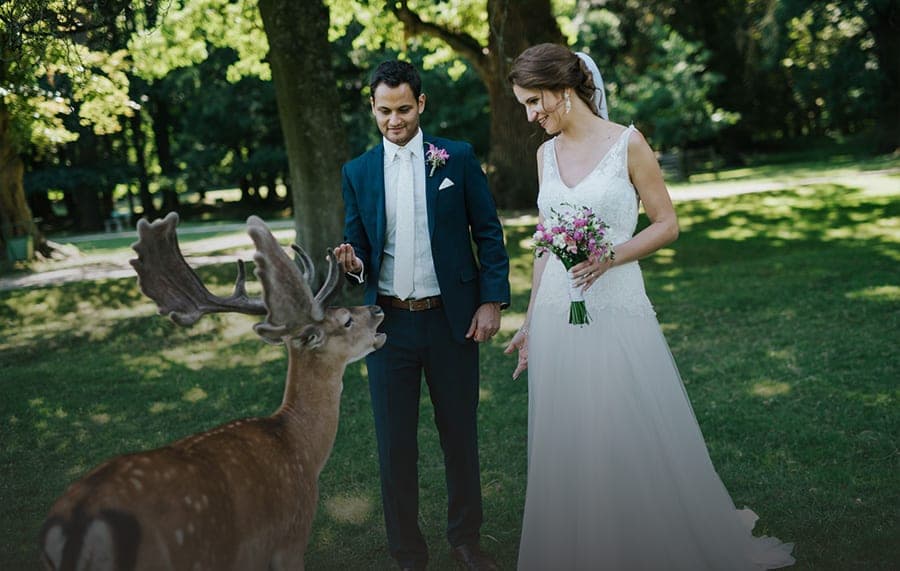 WEDDINGS